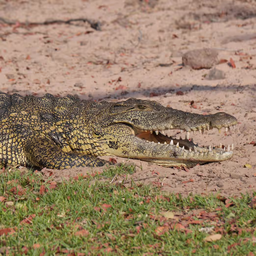 Discovering The Kimberley: A Western Australian Adventure in August