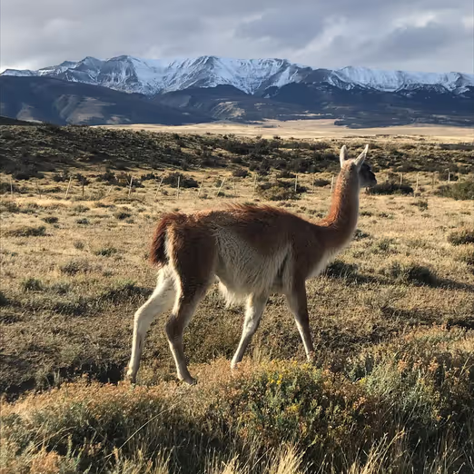 Patagonia in October: The Best Time to Discover the Untamed Beauty of South America