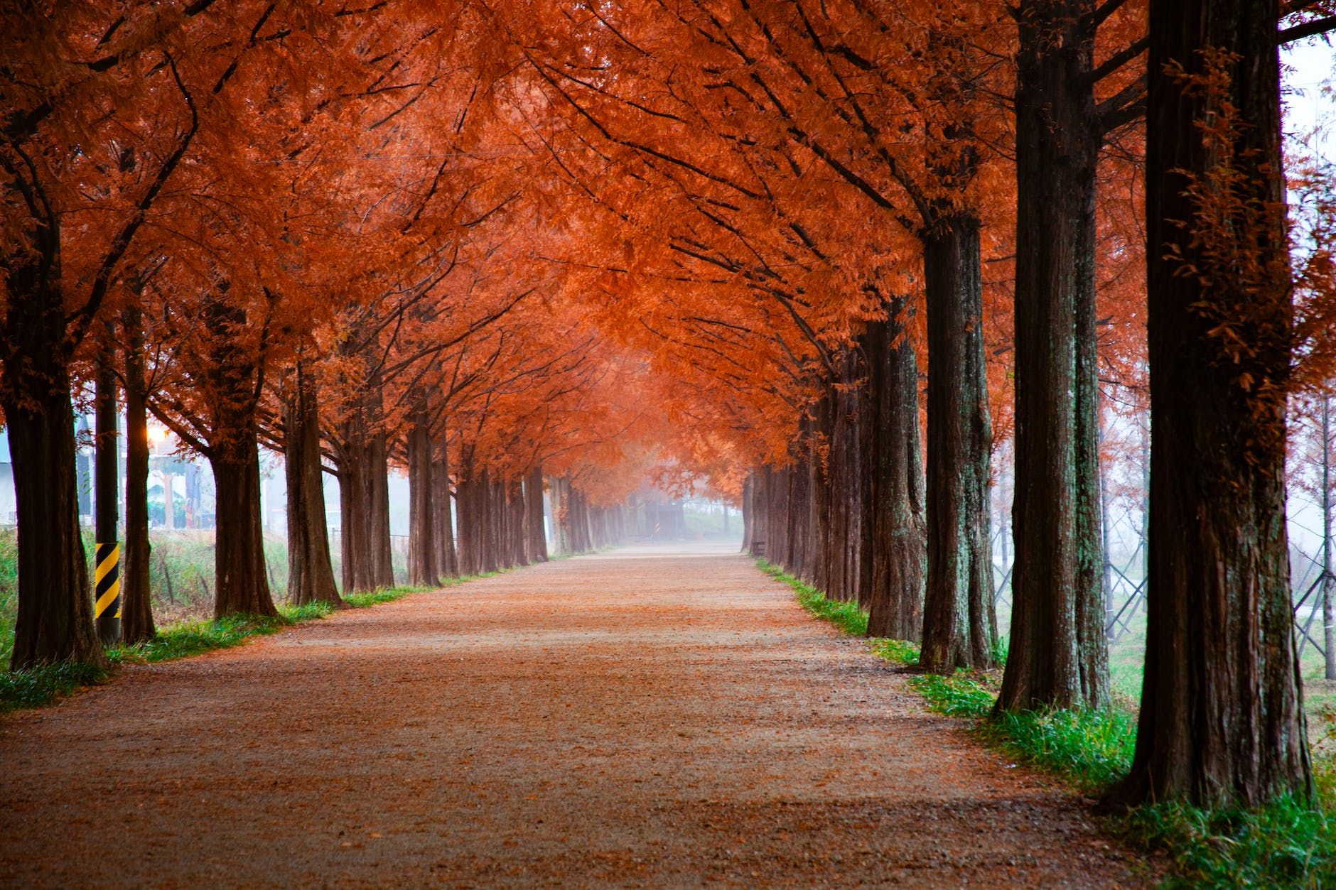 Autumn traveling