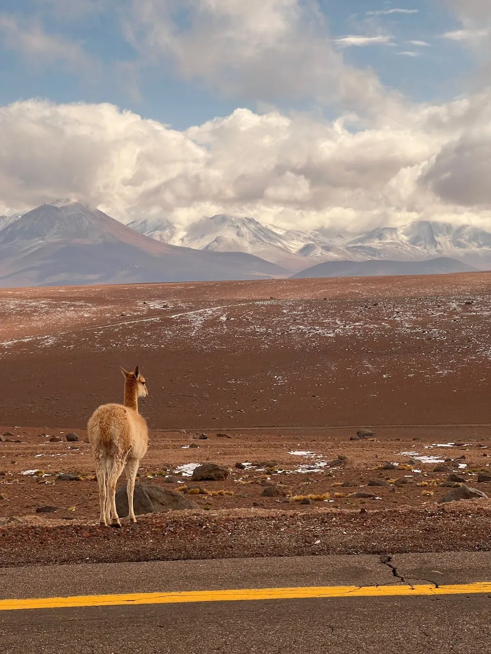 march travel destinations