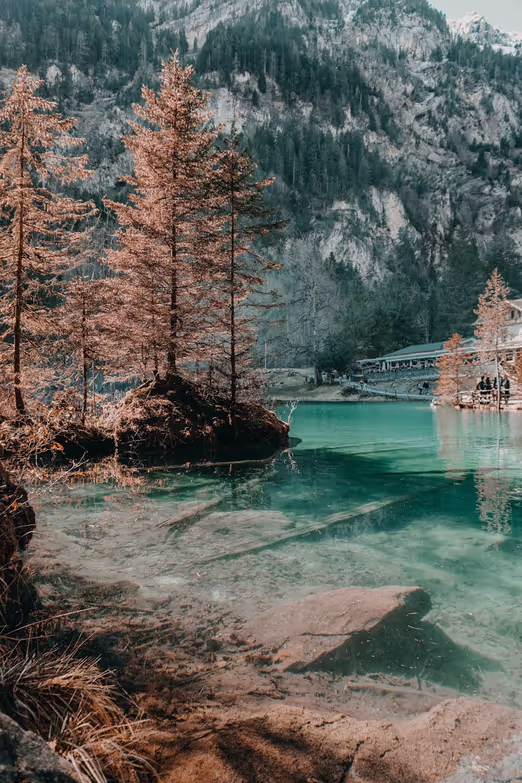 Alpine Winter: The Best Swiss Resorts for Winter Experiences