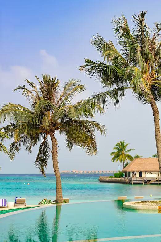 Sun and Sand in Winter: Exploring the Charms of the Maldives