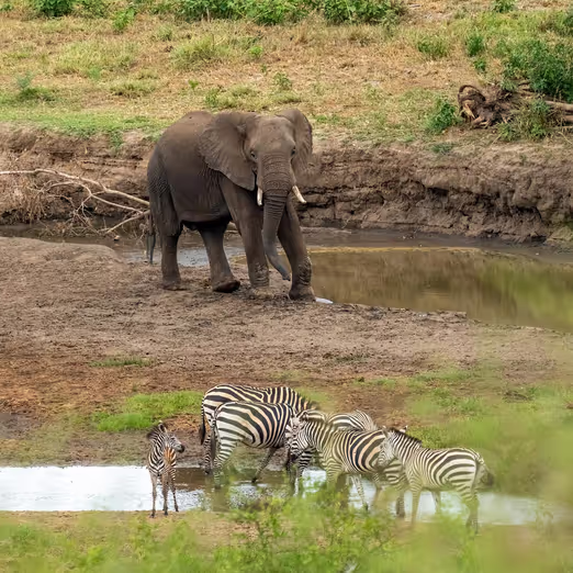 Equatorial Guinea: Discover Central Africa's Hidden Gems and Bioko Island's Tropical Beaches in December.