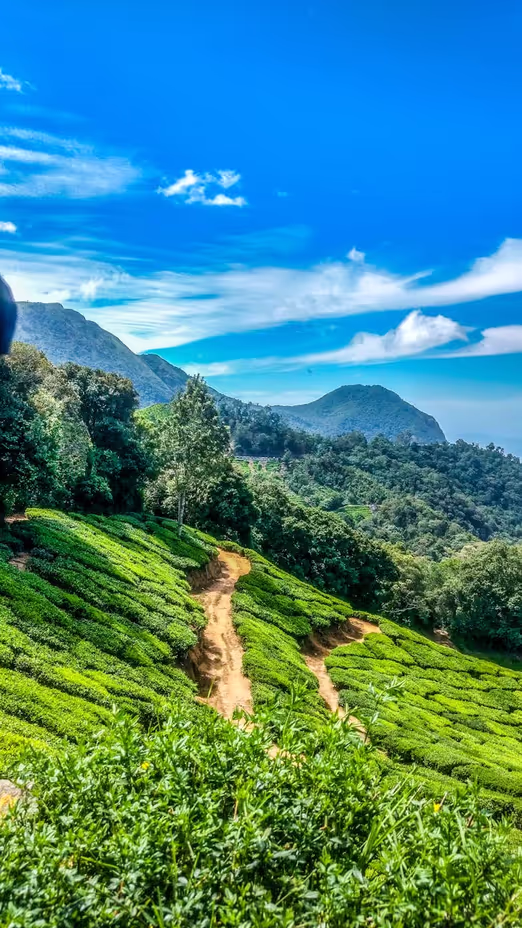 Indian Adventures in August: Top Destinations and Tips for Travellers