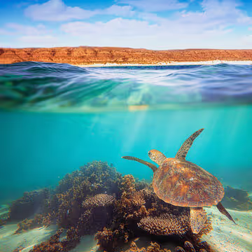 May in Australia: Unique Ecosystems of Broome and Ningaloo Reef