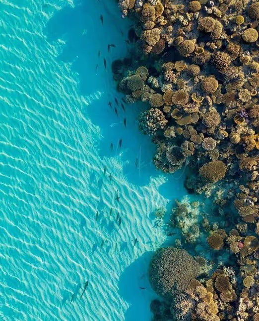 May in Australia: Unique Ecosystems of Broome and Ningaloo Reef