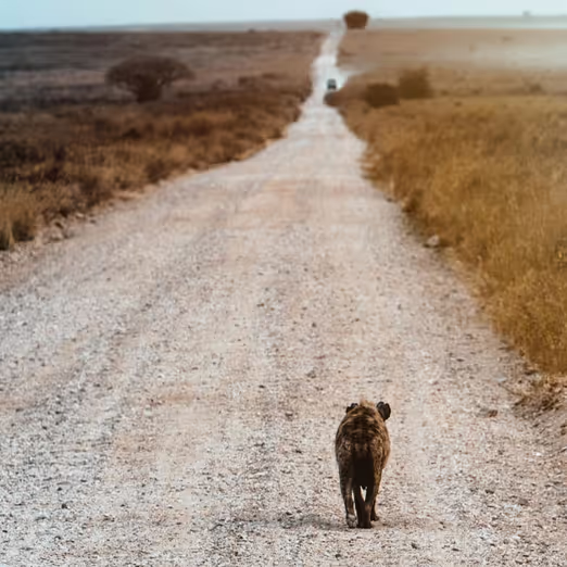 September in Senegal: Discovering West Africa in the Rainy Season