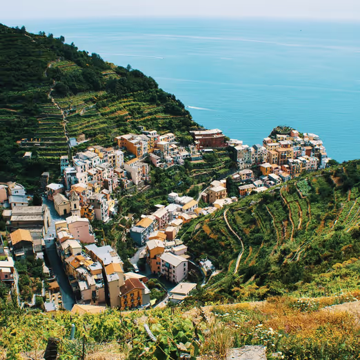 South Africa in Spring: Immersion in Nature and Culture