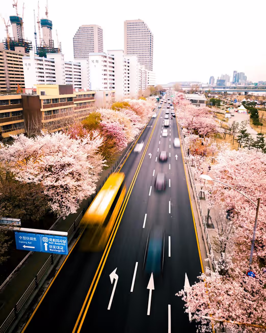 South Korea in August: Exploring New Wonders in the Heart of Asia