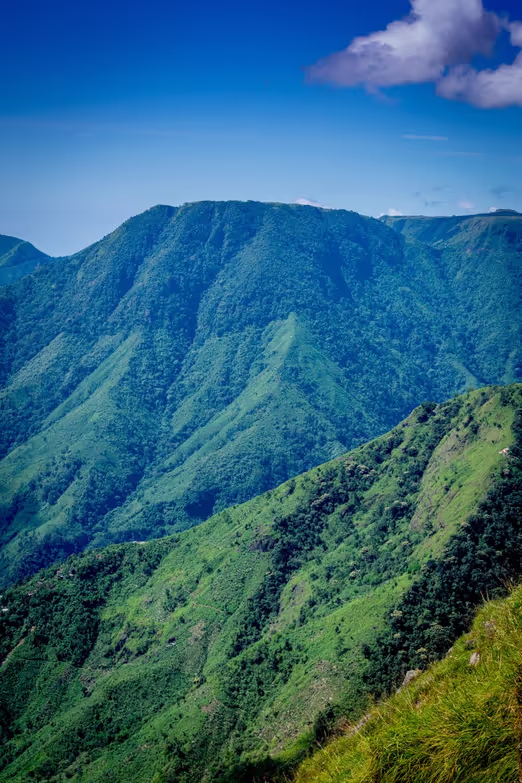 Spring Journey to the Blue Mountains: Discover Australia's Beauty in April