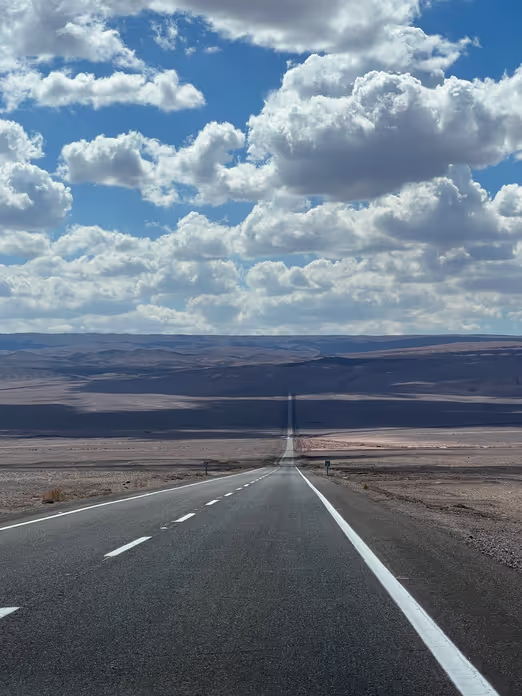 Spring Magic of the Atacama Desert: A Blooming Oasis Amidst Chile's Sands
