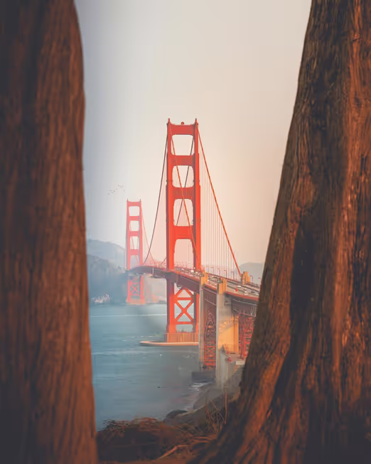Travelling in the USA in May: Top Places to Visit and Tips for Tourists