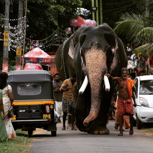 Tropical Winter Getaways in Asia: Top Destinations for Your Escape
