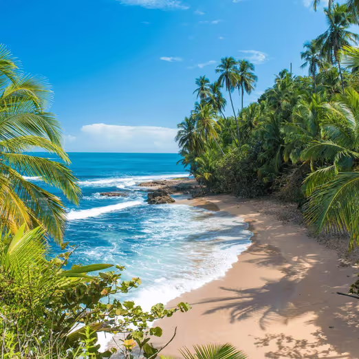 Unforgettable Spring in Costa Rica: Beaches, Nature, and Adventures