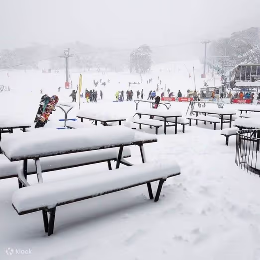 Winter Adventures in Perisher and Thredbo: Australia's Best Ski Resorts