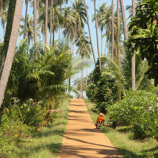 Winter Wonderland: Why Thailand is the Best Destination for Travel in December